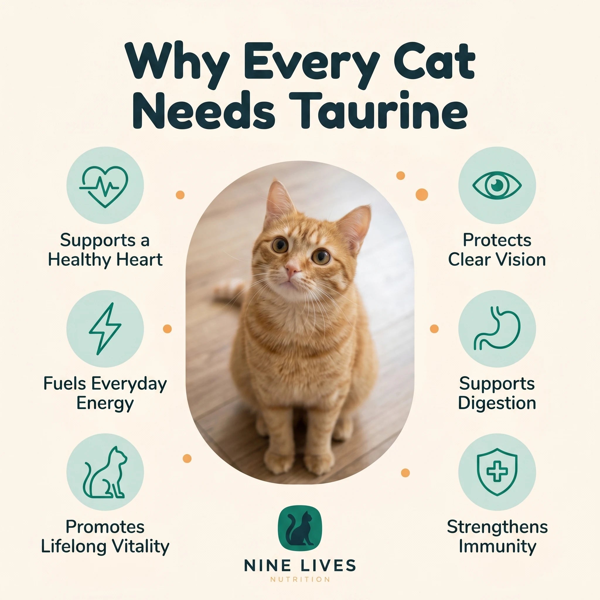 Pure Taurine+ image 2